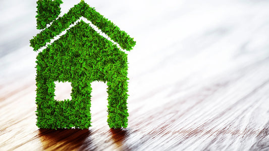 Embracing Sustainability at Home: Practical Ways to Make a Difference