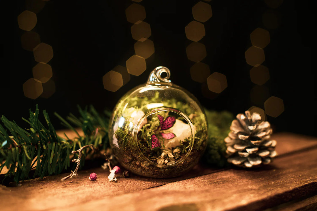 The gift of Sustainability at Christmas